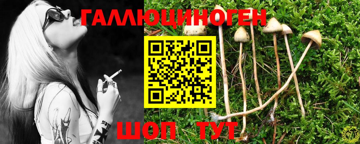 Красноярск  Галлюциногенные грибы прущие грибы  Псилоцибиновые грибы Psilocybe  Вход с VPN 